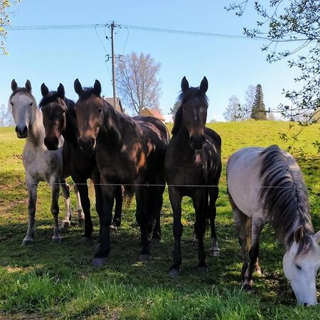 Eha Farmstay Rõuge المظهر الخارجي الصورة