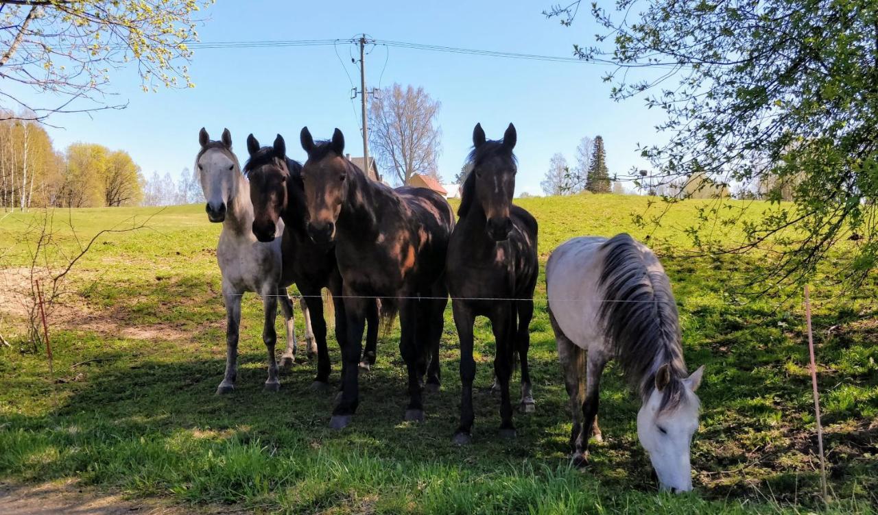 Eha Farmstay Rõuge المظهر الخارجي الصورة